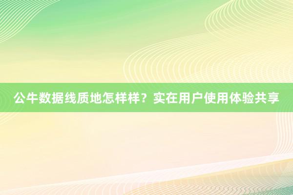 公牛数据线质地怎样样？实在用户使用体验共享