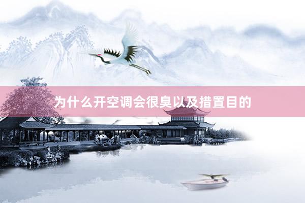 为什么开空调会很臭以及措置目的