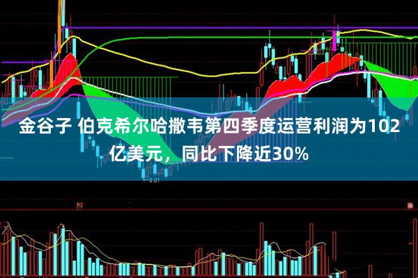 金谷子 伯克希尔哈撒韦第四季度运营利润为102亿美元，同比下降近30%