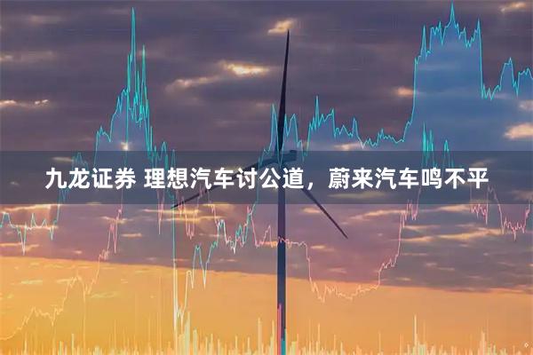 九龙证券 理想汽车讨公道，蔚来汽车鸣不平