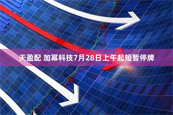 天盈配 加幂科技7月28日上午起短暂停牌